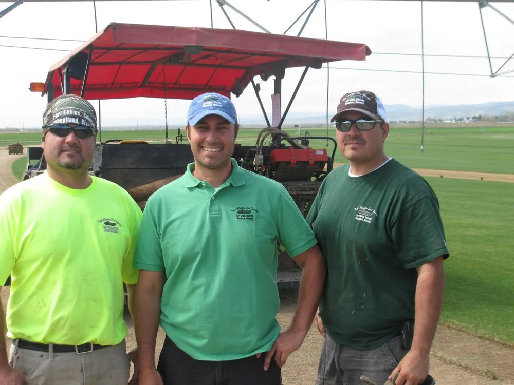 Custom outdoor landscaping in Fort Collins, CO - Turf Master Sod Farm
