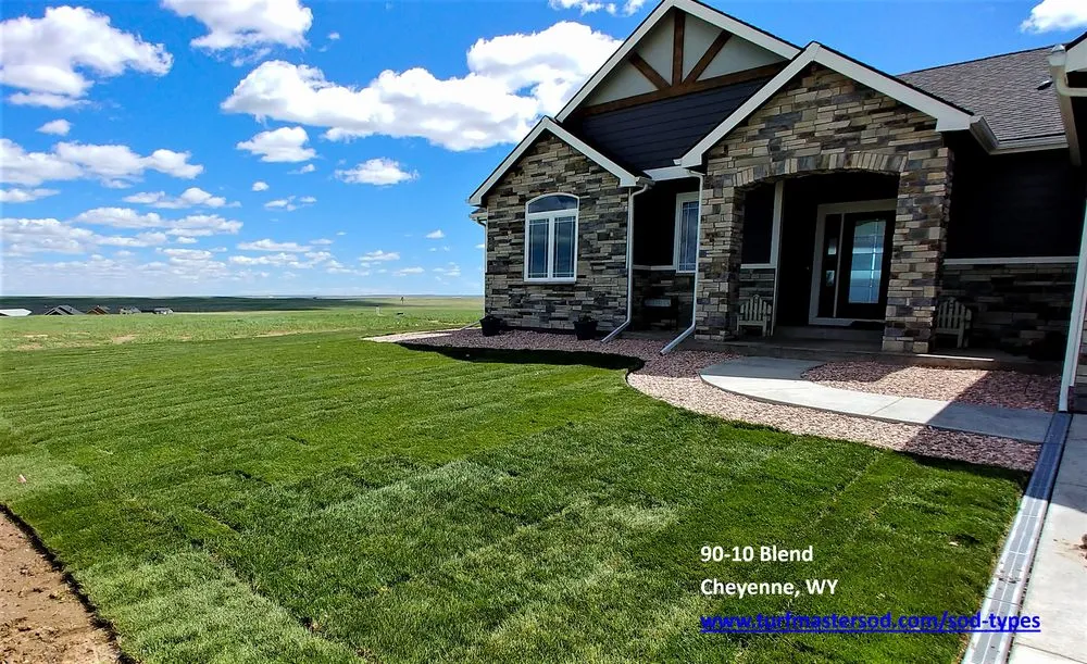 Affordable landscape design in Fort Collins, CO by Turf Master Sod Farm