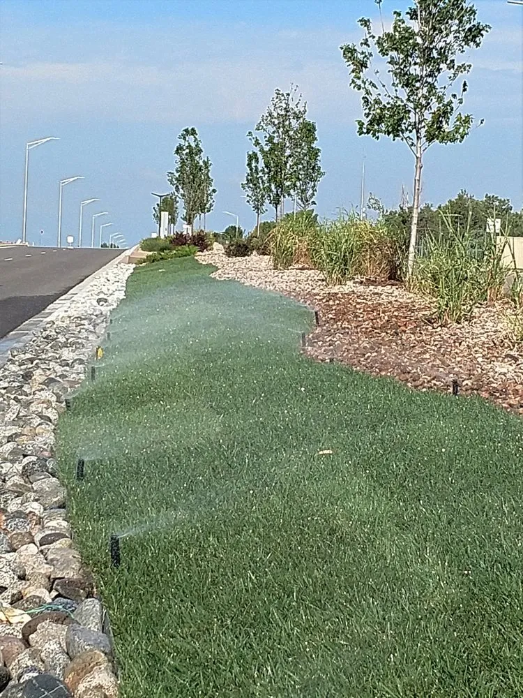 Local lawn care service experts serving Fort Collins, CO - Turf Master Sod Farm