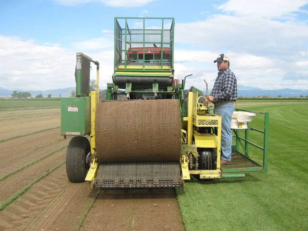 Top-rated yard maintenance in Fort Collins, CO by Turf Master Sod Farm