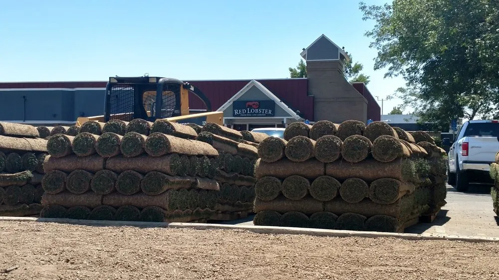 Affordable lawn mowing service near you in Fort Collins, CO by Turf Master Sod Farm