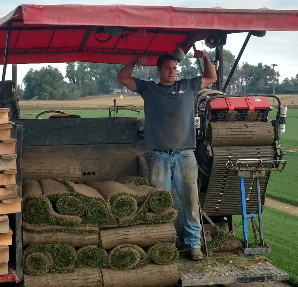 Top-rated residential landscaping in Fort Collins, CO - Turf Master Sod Farm