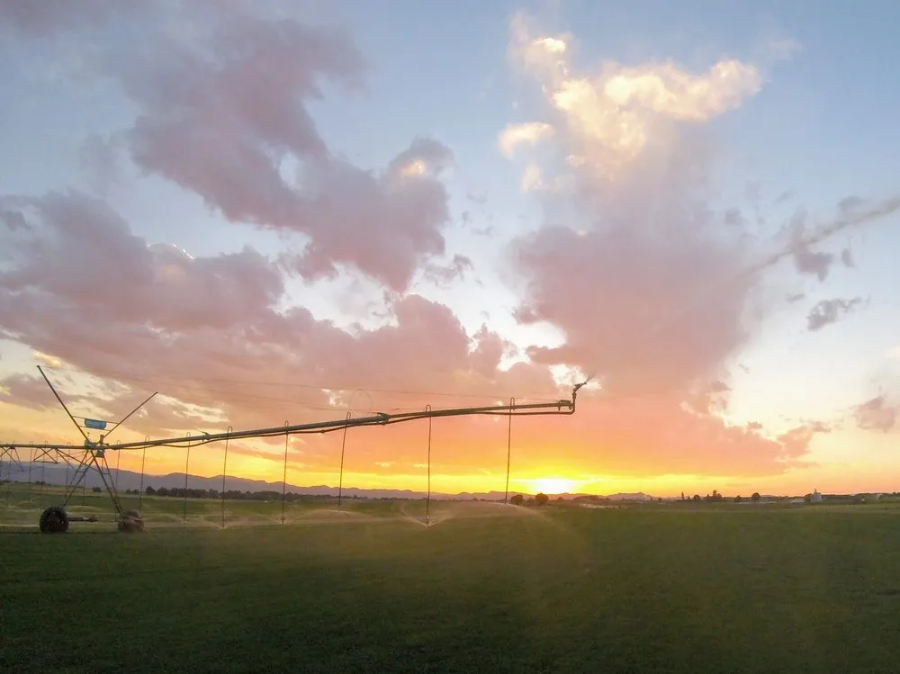 Local garden landscaping near you in Fort Collins, CO by Turf Master Sod Farm