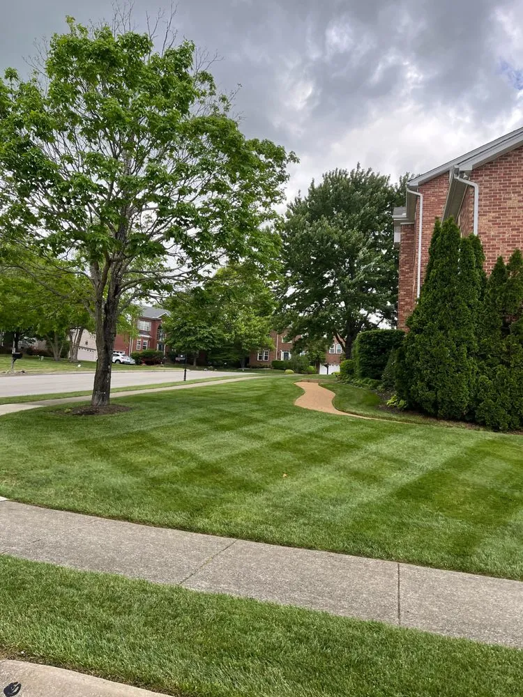 Top-rated lawn care service in Woodstock, GA - Turf Masters - Woodstock