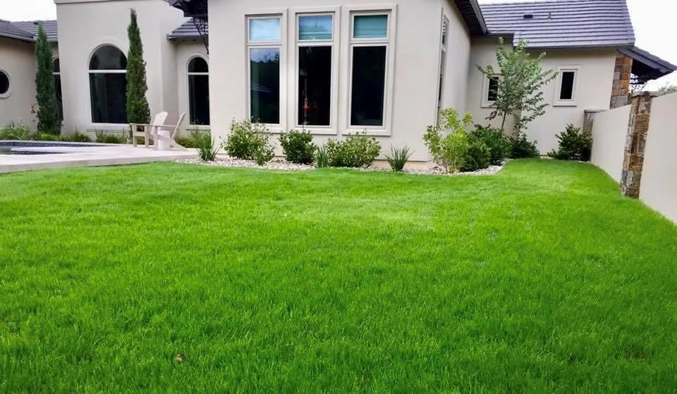 Custom landscape installation for year-round maintenance across Boerne, TX - Turf Masters