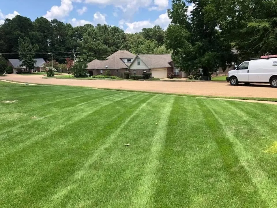 Affordable residential landscaping in Bolton, MS by Turf Masters