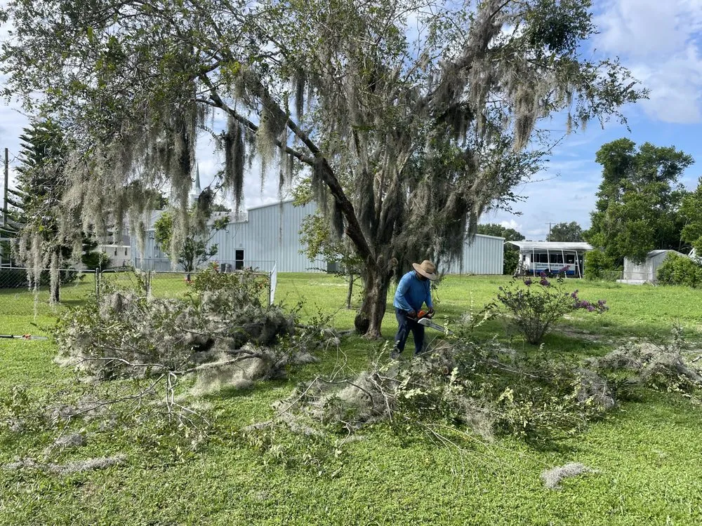 Affordable landscaping services for beautiful yards in Lakeland, FL by Turf Masters Environmental