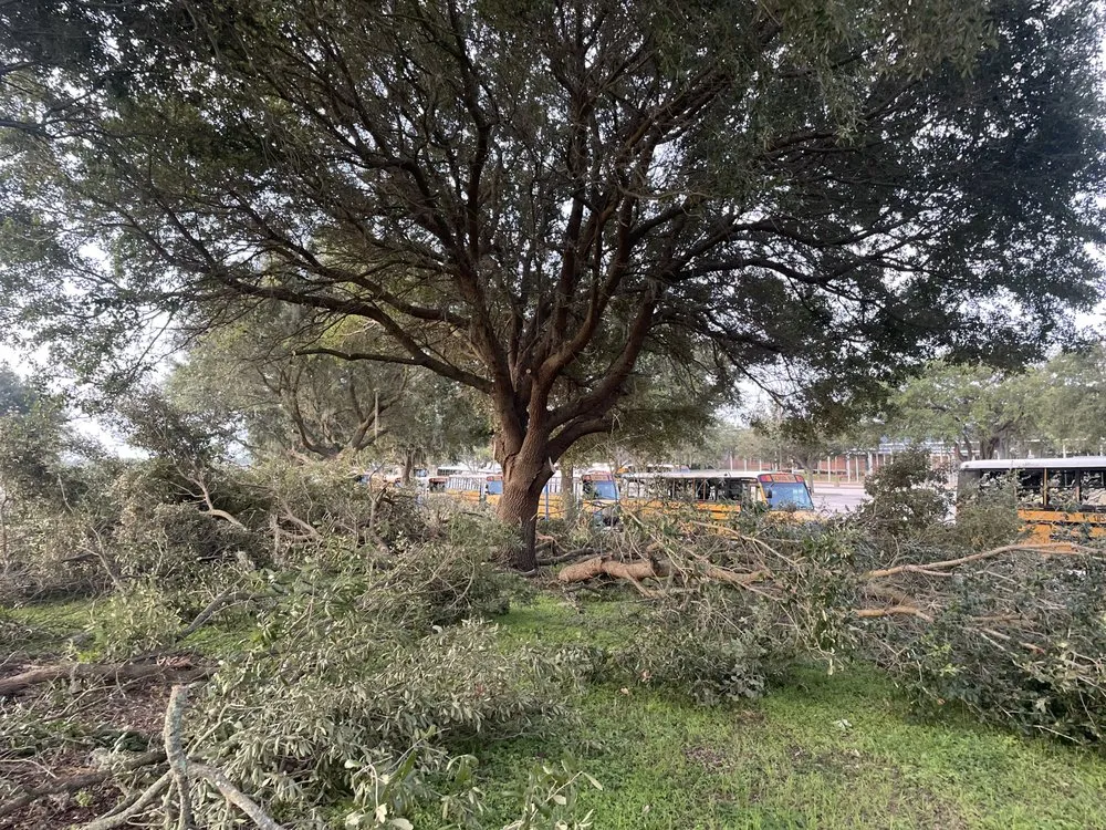 Trusted lawn care service for outdoor upgrades across Lakeland, FL - Turf Masters Environmental