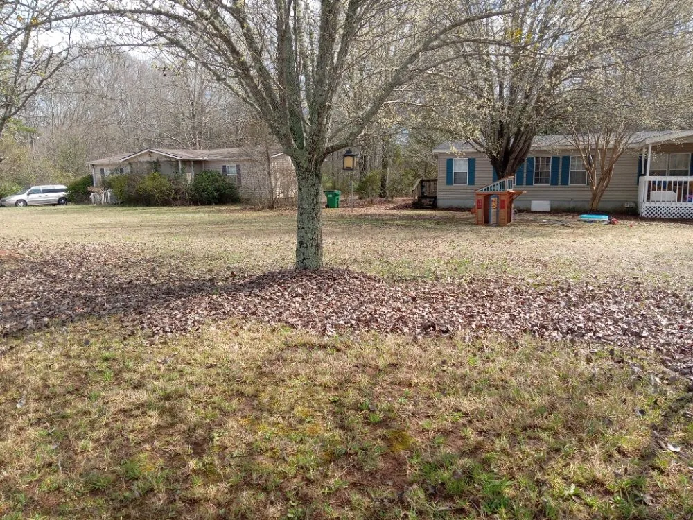 Expert landscape design in Central, SC by Turf Masters Estate Care