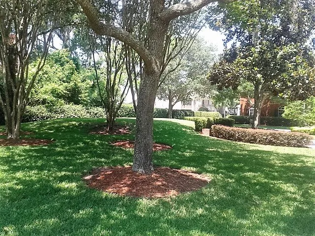 Expert outdoor landscaping in Jacksonville, FL - Turf-Masters