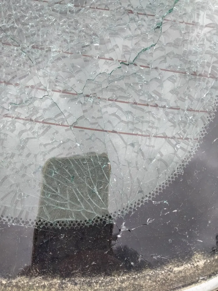 Local lawn care service for year-round maintenance across Jacksonville, FL - Turf-Masters