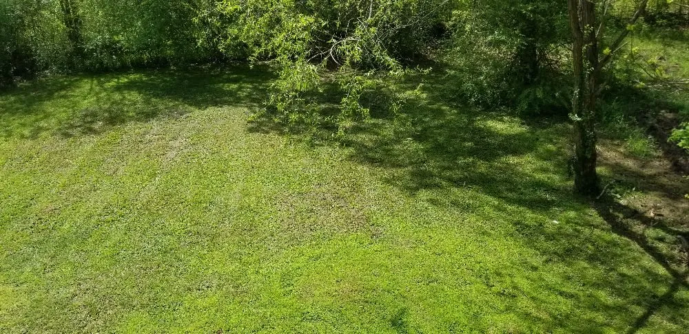 Local yard maintenance for beautiful yards in Fairburn, GA by Turf Masters Landscaping