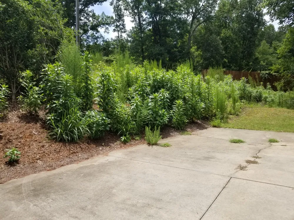 Local garden landscaping in Fairburn, GA - Turf Masters Landscaping