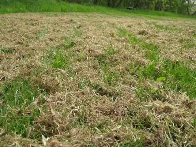 Affordable garden landscaping in Xenia, OH by Turf Masters Landscaping