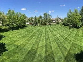 Expert landscaping services in Coralville, IA by Turf Masters Lawn & Landscape
