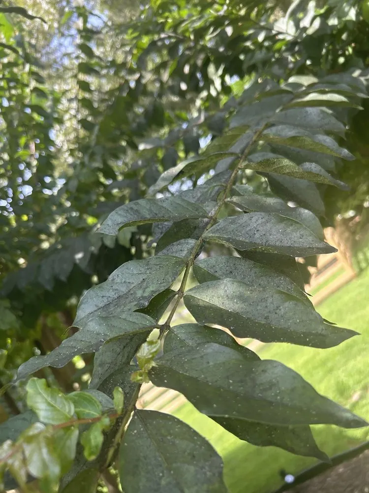 Trusted garden landscaping in Alpharetta, GA - Turf Masters Lawn Care