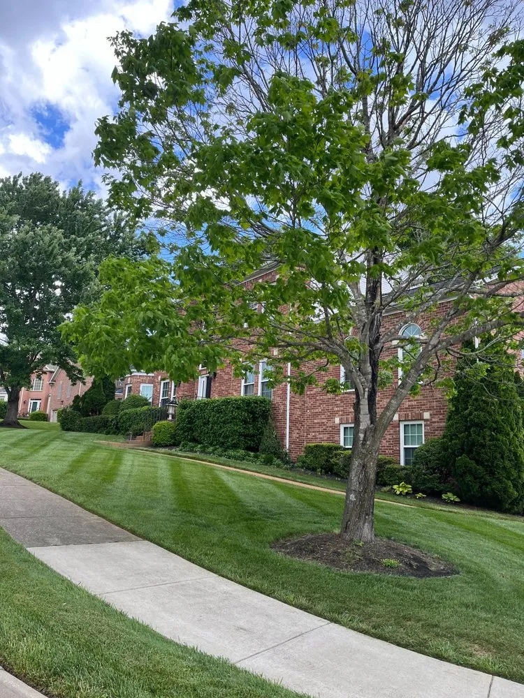 Professional landscaping services with custom design across Dallas, GA - Turf Masters Lawn Care