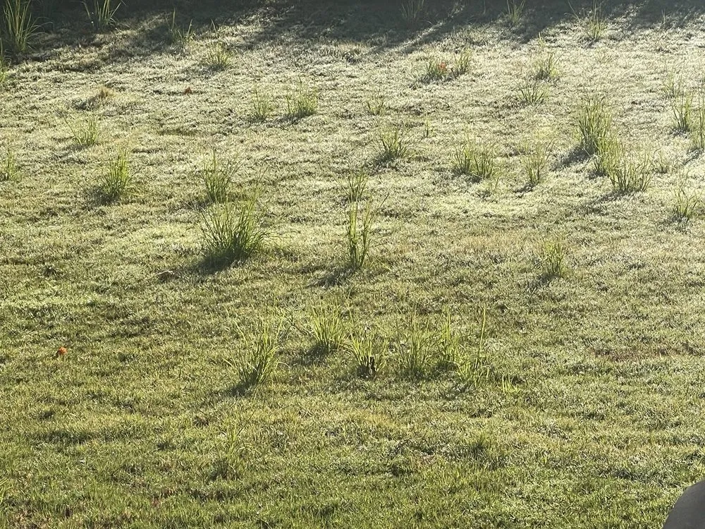 Expert landscape design in Dallas, GA by Turf Masters Lawn Care
