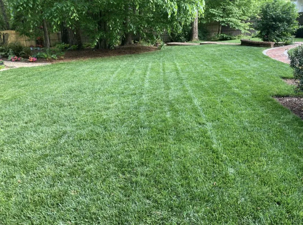 Local landscaping services experts serving Dallas, GA - Turf Masters Lawn Care
