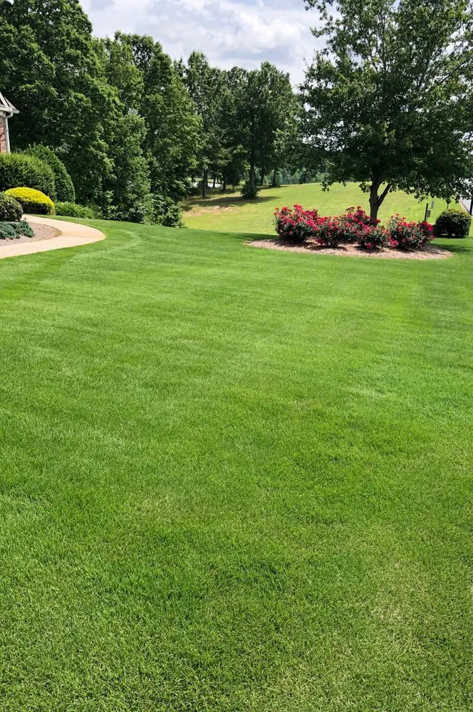 Top-rated lawn care service for year-round maintenance across Dallas, GA - Turf Masters Lawn Care