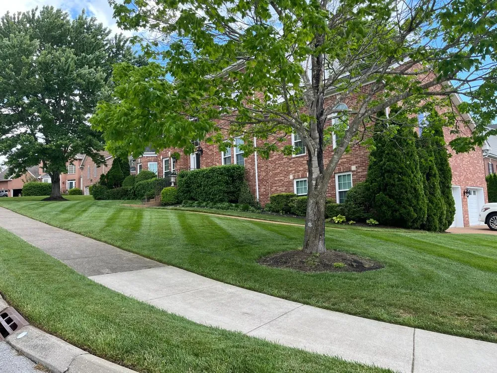 Local outdoor landscaping for year-round maintenance across Dallas, GA - Turf Masters Lawn Care
