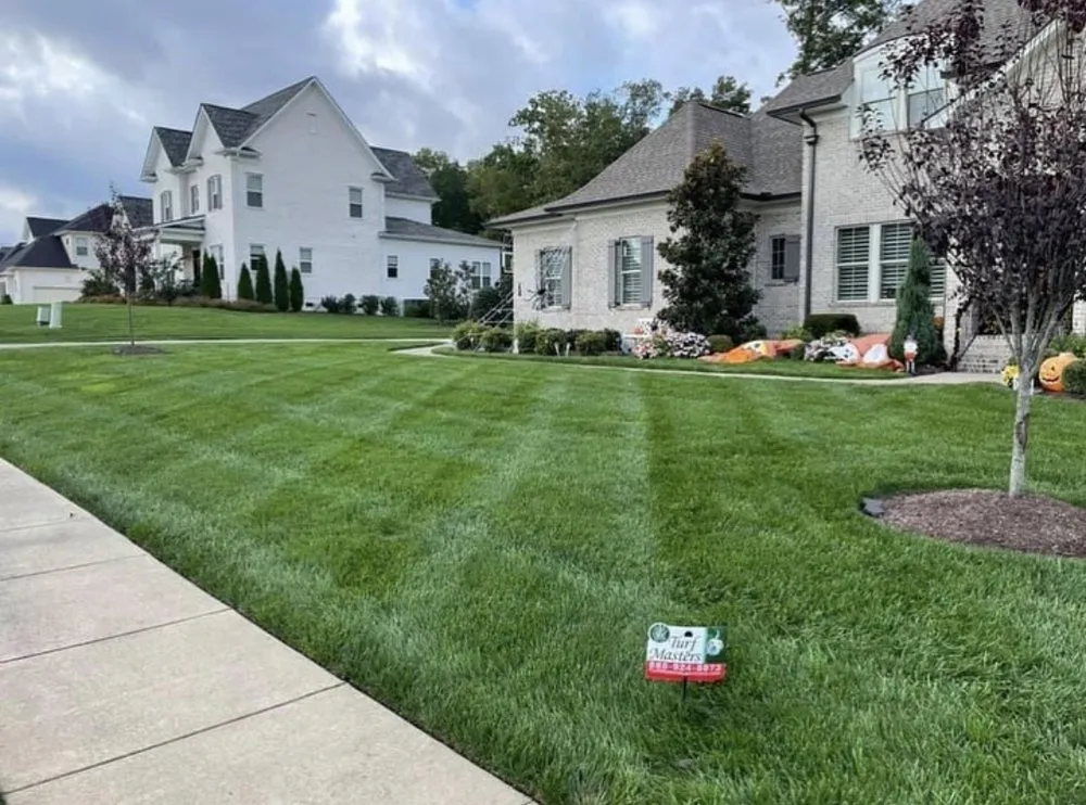 Custom lawn care service in Dallas, GA - Turf Masters Lawn Care