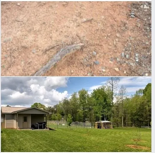 Affordable yard cleanup service experts serving Greenville, SC - Turf Masters Lawn Care