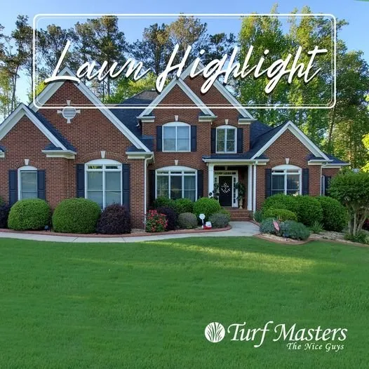 Expert yard cleanup service in Greenville, SC by Turf Masters Lawn Care