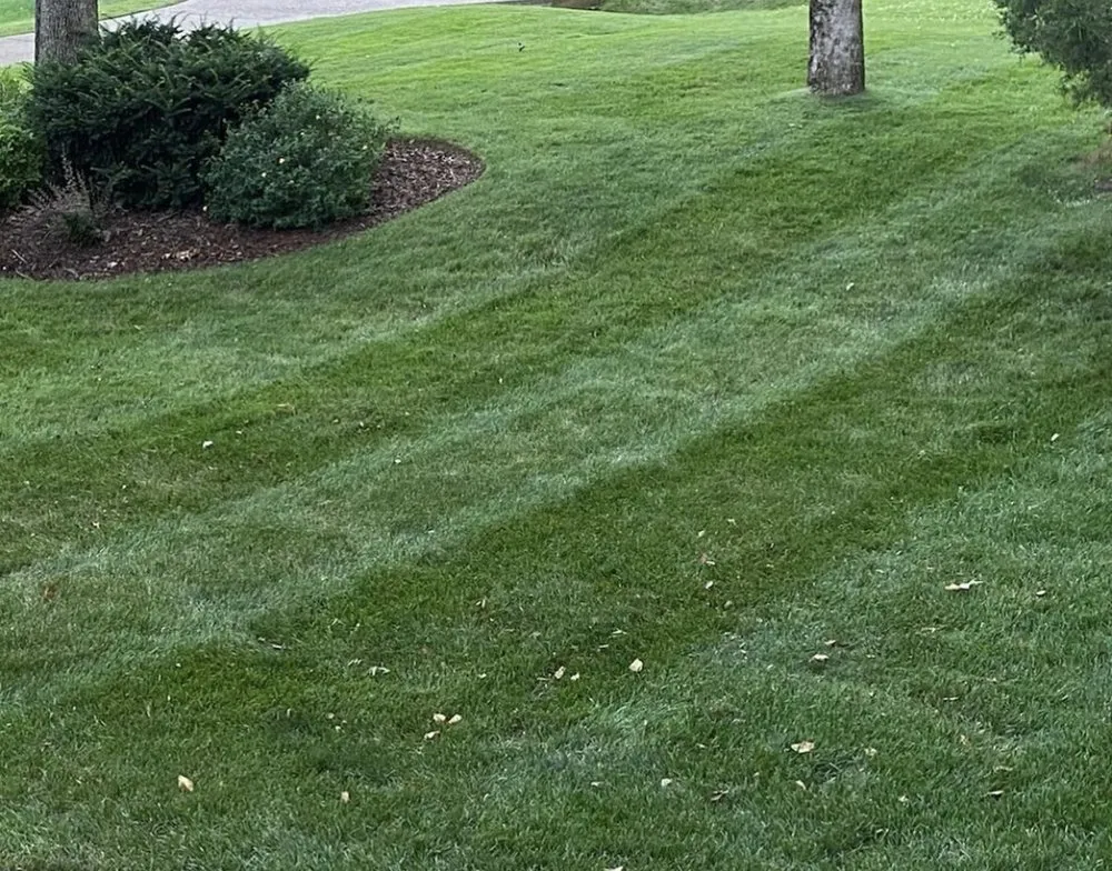 Top-rated garden landscaping in Jackson, GA - Turf Masters Lawn Care