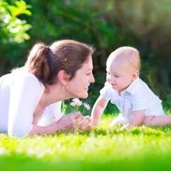 Custom outdoor landscaping for year-round maintenance across Jackson, GA - Turf Masters Lawn Care