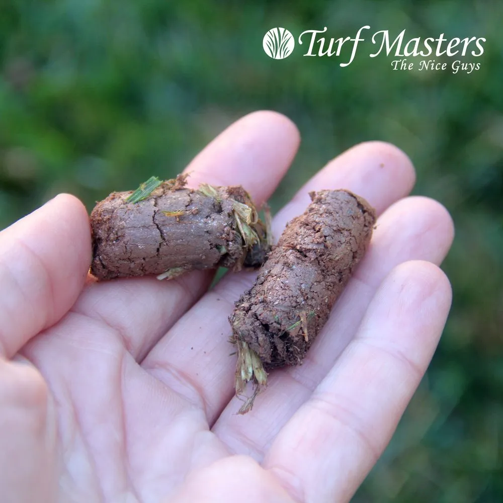 Top-rated landscape design for residential properties across Jackson, GA - Turf Masters Lawn Care