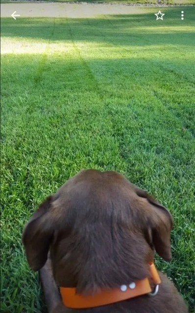 Expert yard cleanup service in Norcross, GA by Turf Masters Lawn Care