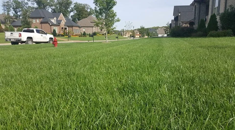 Top-rated landscape installation in Norcross, GA by Turf Masters Lawn Care