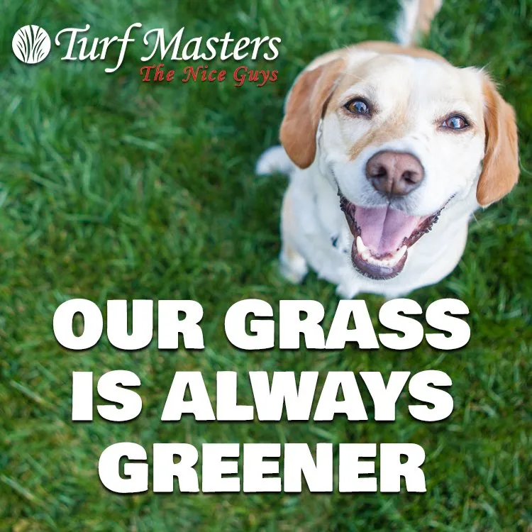 Reliable landscape design for beautiful yards in Norcross, GA by Turf Masters Lawn Care