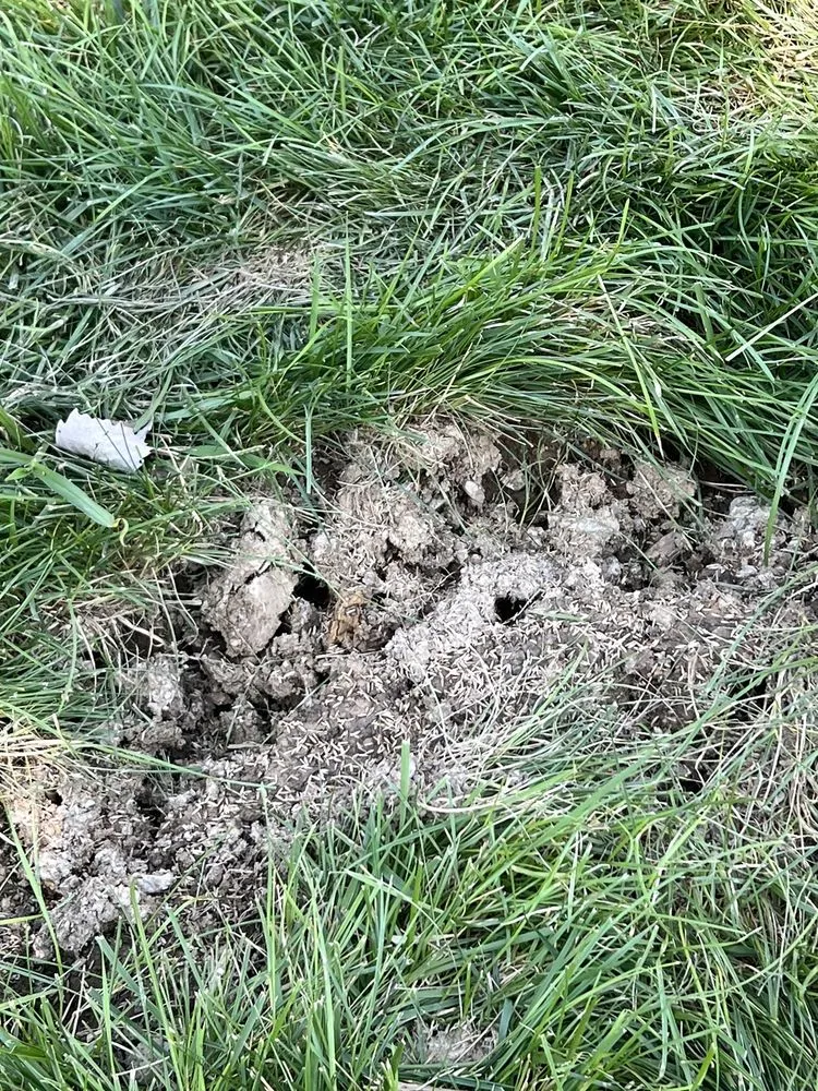 Trusted garden landscaping with custom design in Spring Hill, TN by Turf Masters Lawn Care