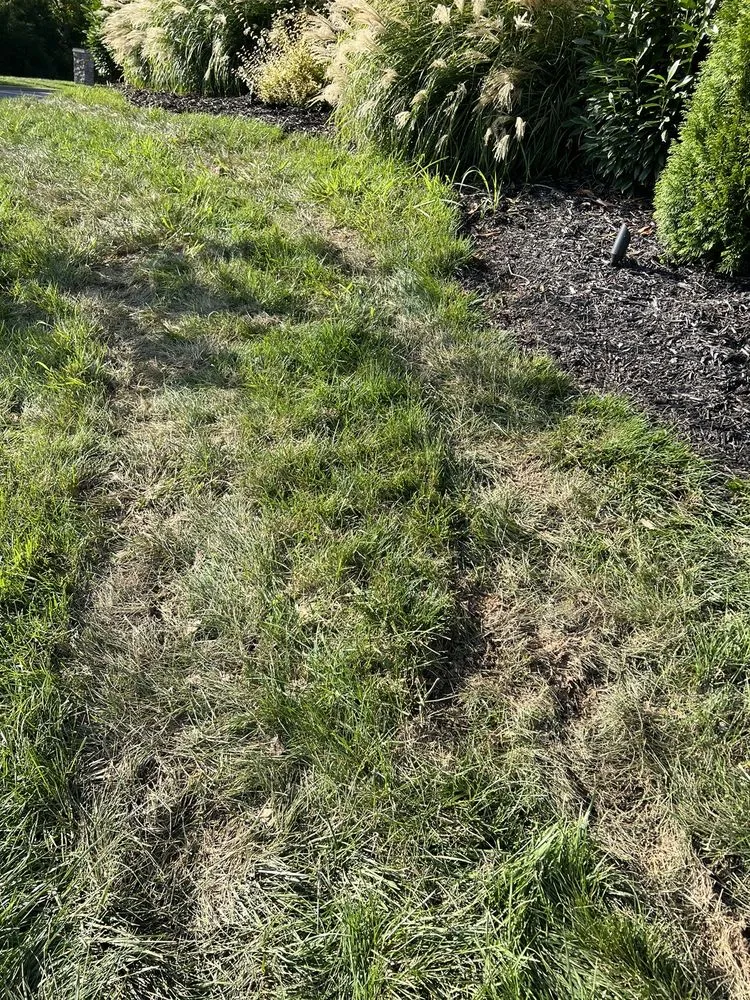 Custom garden landscaping for outdoor upgrades in Spring Hill, TN by Turf Masters Lawn Care