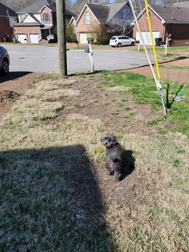 Trusted residential landscaping in Spring Hill, TN by Turf Masters Lawn Care