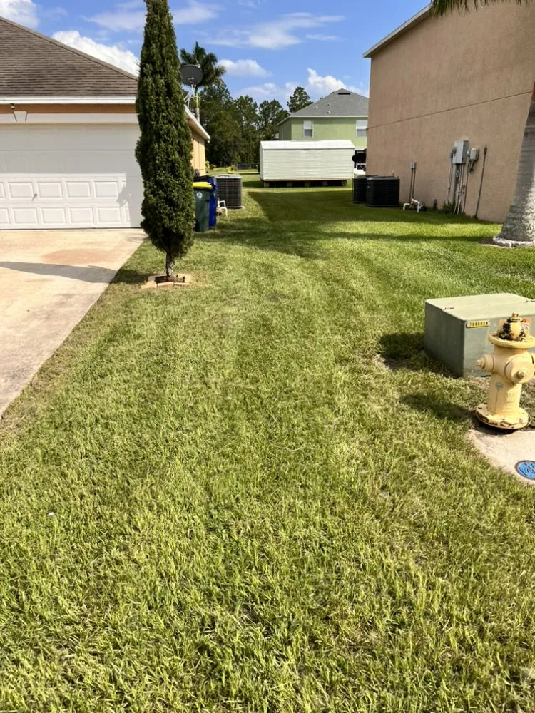 Local landscape installation in Sebring, FL - Turf Masters Lawncare & Landscaping