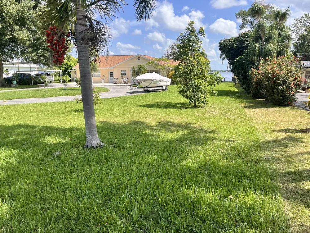 Affordable yard cleanup service experts serving Sebring, FL - Turf Masters Lawncare & Landscaping