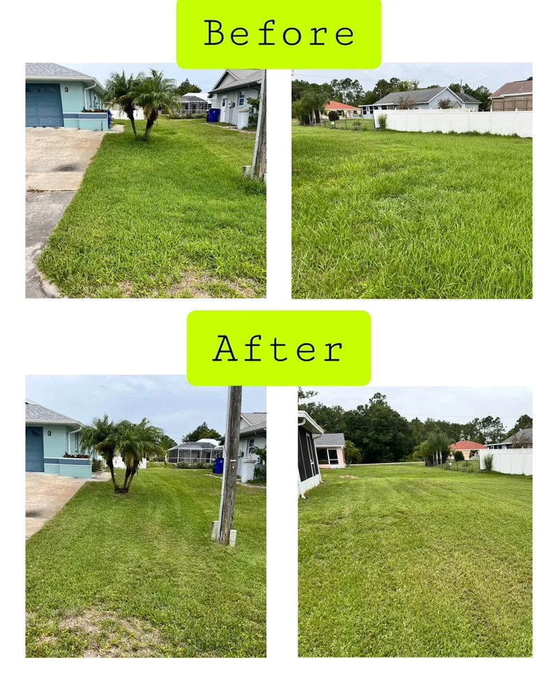 Top-rated yard cleanup service in Sebring, FL - Turf Masters Lawncare & Landscaping