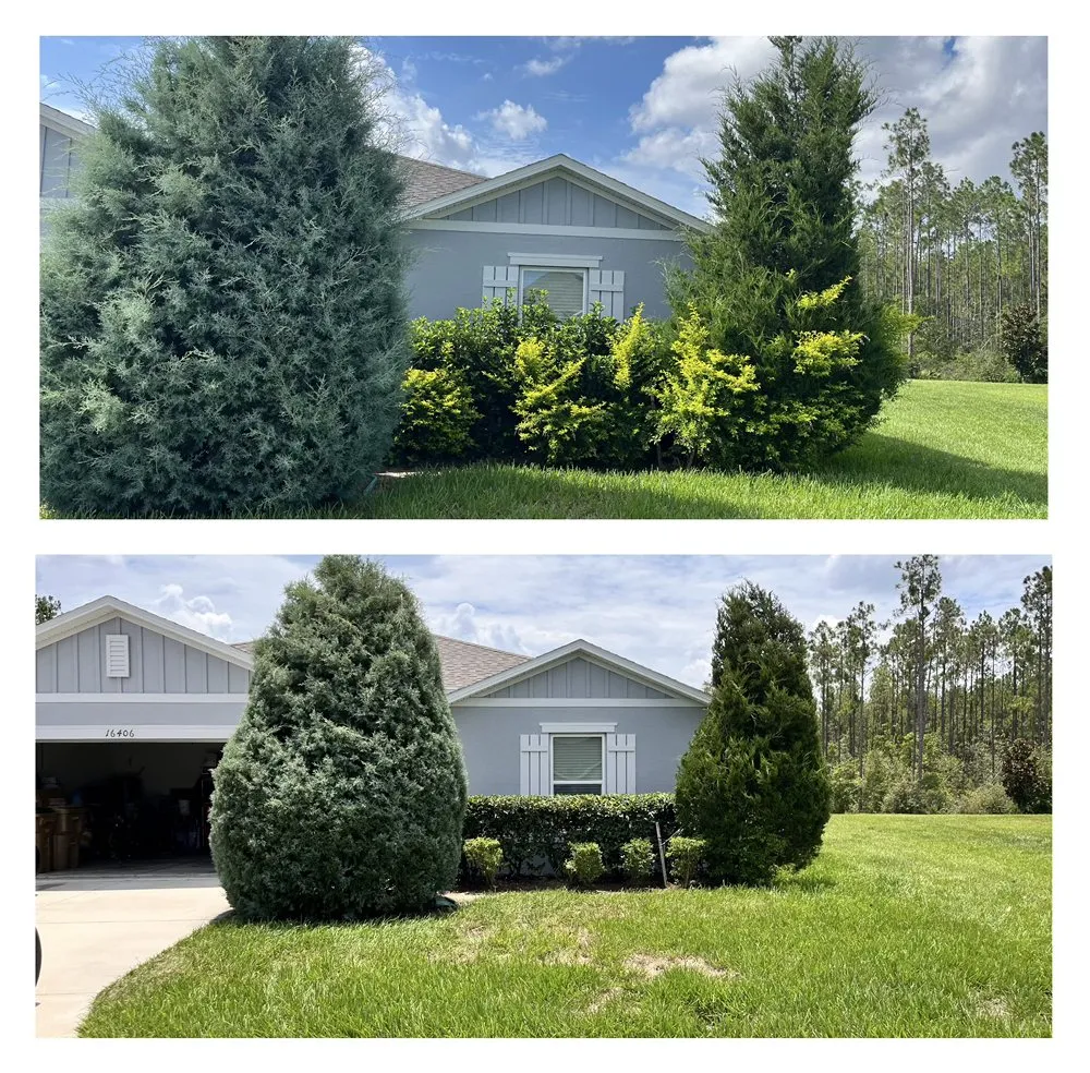 Reliable landscaping services experts serving Sebring, FL - Turf Masters Lawncare & Landscaping