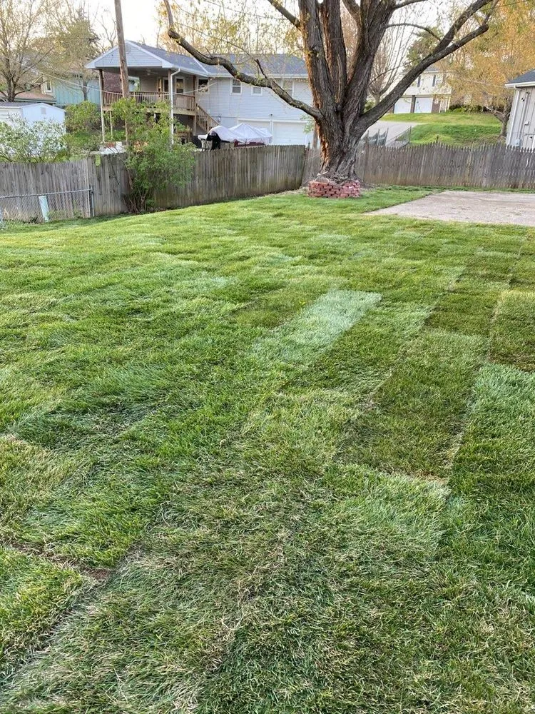Reliable lawn care service in Liberty, MO by Turf Masters