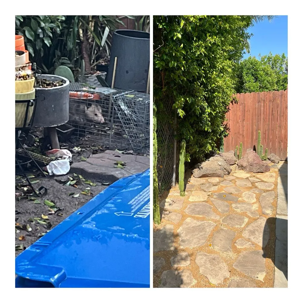 Top-rated yard maintenance in Simi Valley, CA by Turf Masters