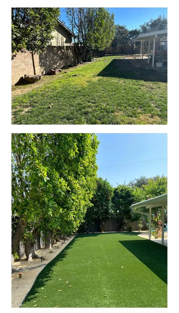 Trusted yard cleanup service experts serving Simi Valley, CA - Turf Masters