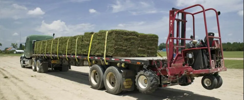 Trusted yard cleanup service for beautiful yards across Wilmington, NC - Turf Masters Sod Farms