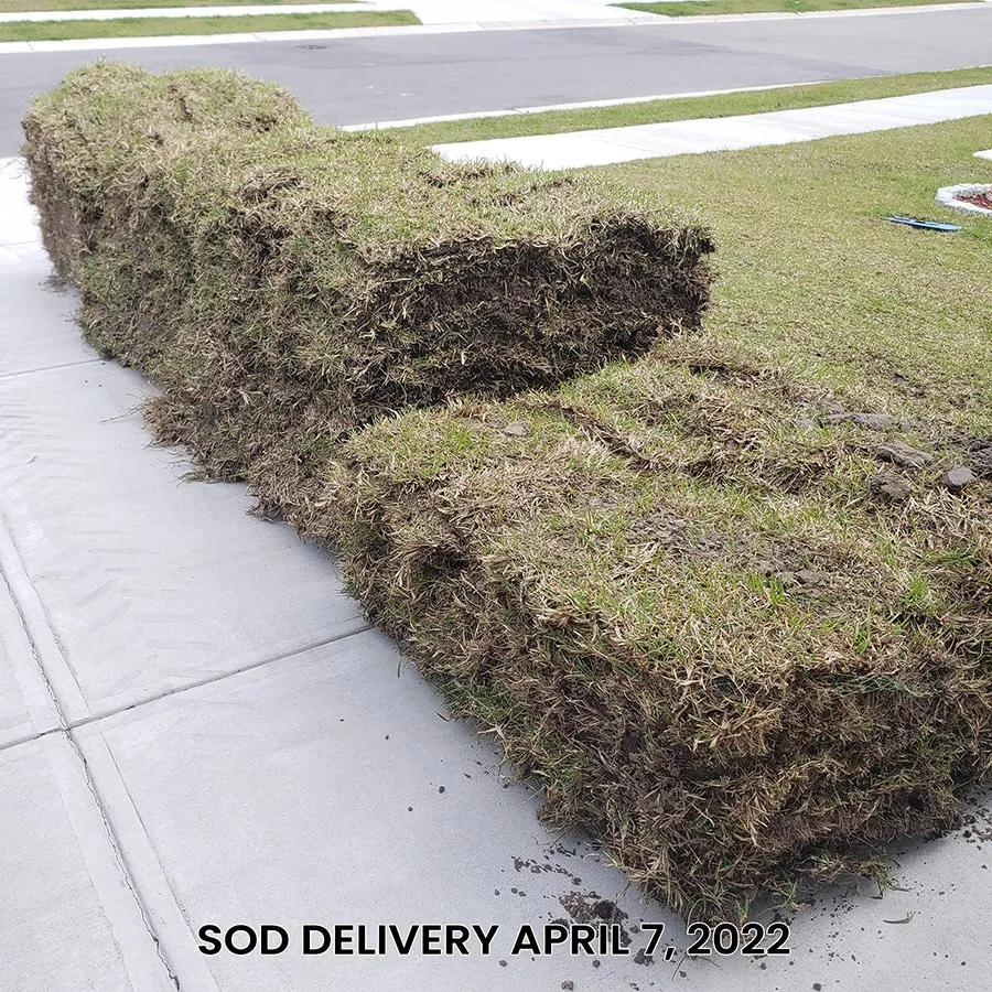 Custom yard cleanup service in Wilmington, NC by Turf Masters Sod Farms