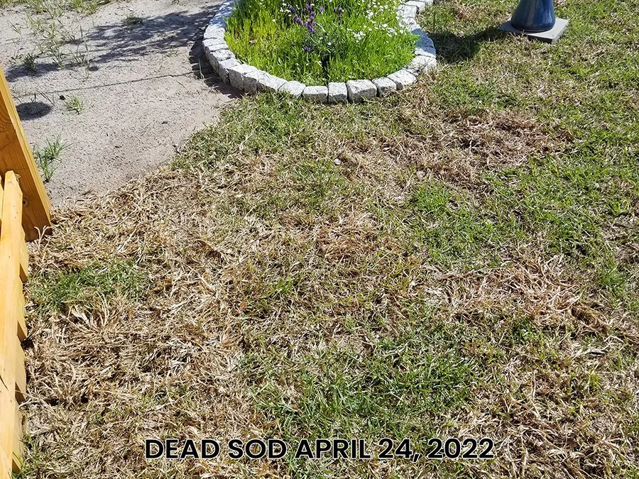 Top-rated landscaping services for residential properties in Wilmington, NC by Turf Masters Sod Farms