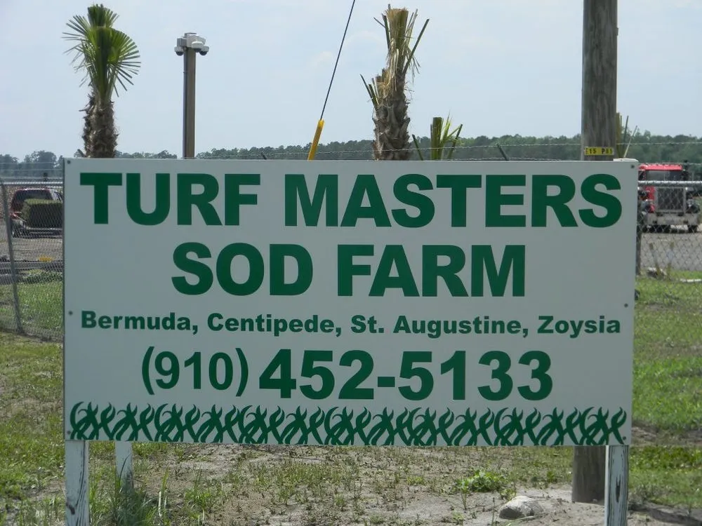 Trusted yard cleanup service experts serving Wilmington, NC - Turf Masters Sod Farms