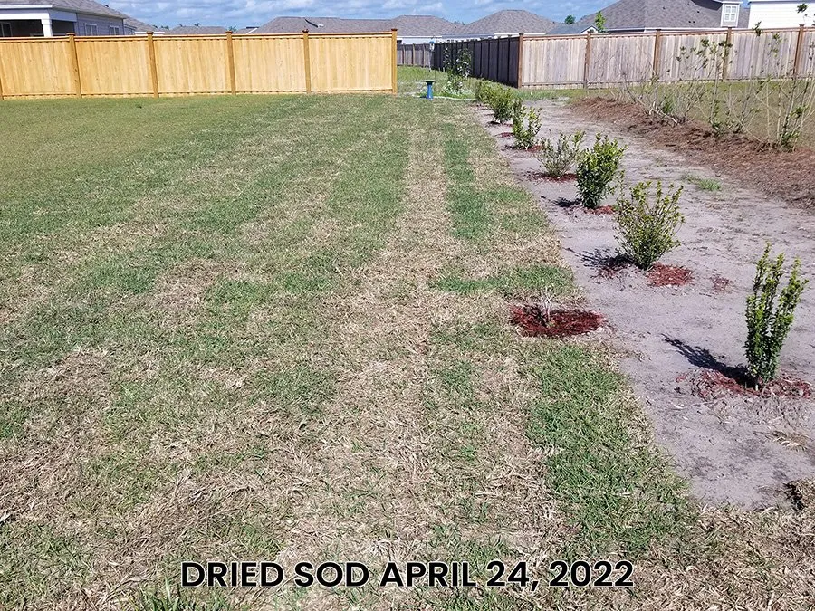 Affordable yard cleanup service in Wilmington, NC by Turf Masters Sod Farms