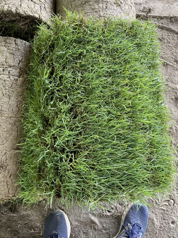 Professional yard maintenance in Wilmington, NC by Turf Masters Sod Farms